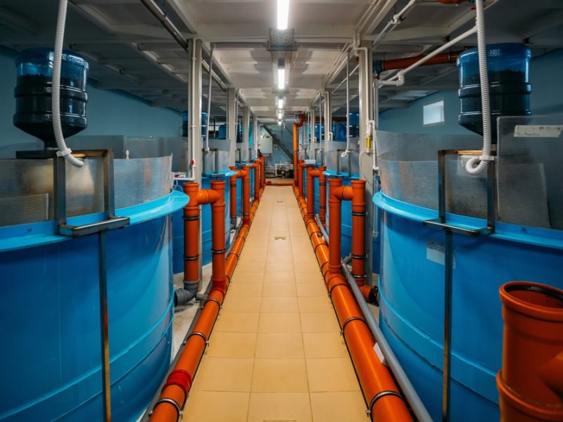 A First-Time Buyer’s Guide to Industrial Plastic Tanks